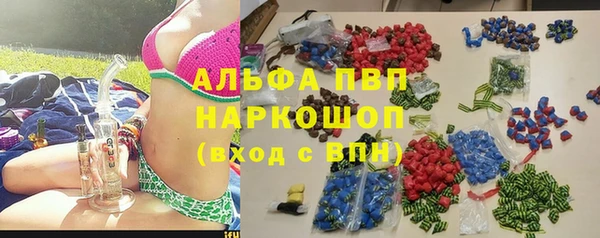 прущий лед Богданович